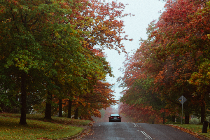 Autumn 2012-12