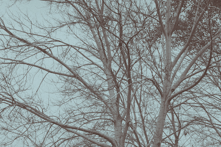 Autumn 2012-5