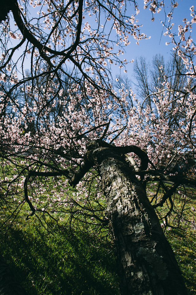 Spring-5