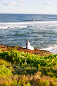 Wedding-folio-8