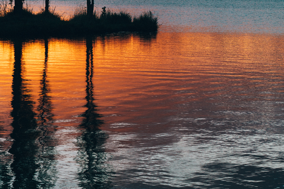 Golden evening-2