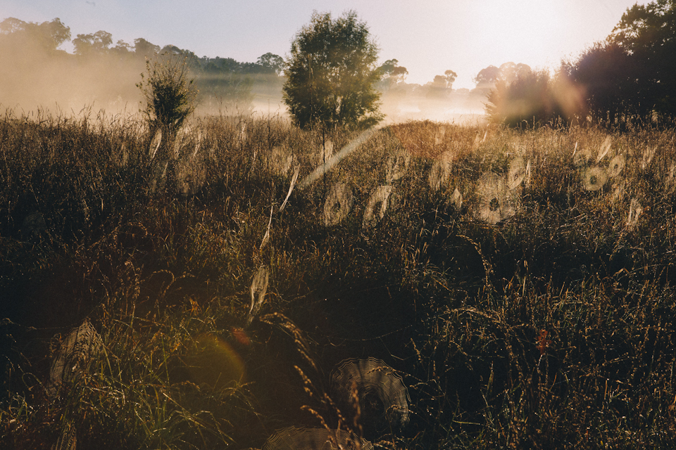 SuttonForest-18