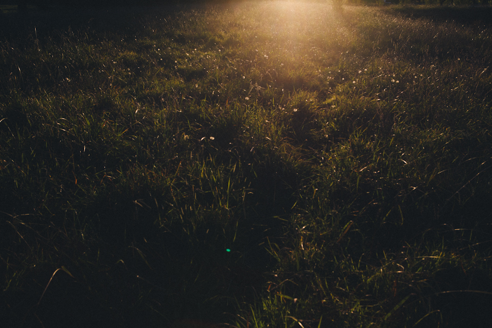 SuttonForest-2