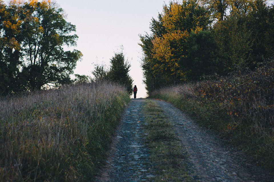 SuttonForest-5