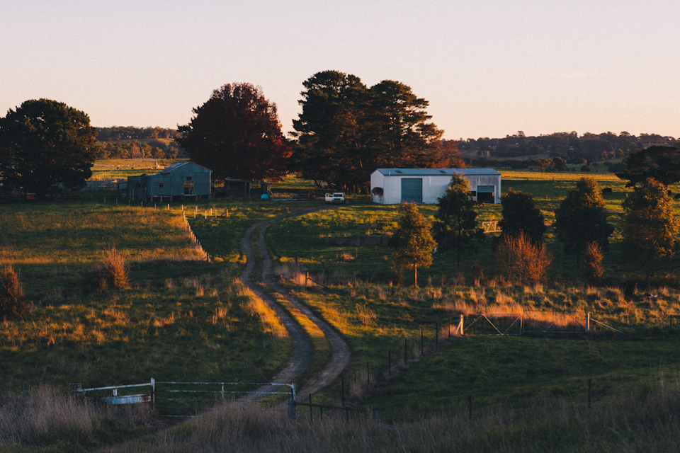 SuttonForest-6