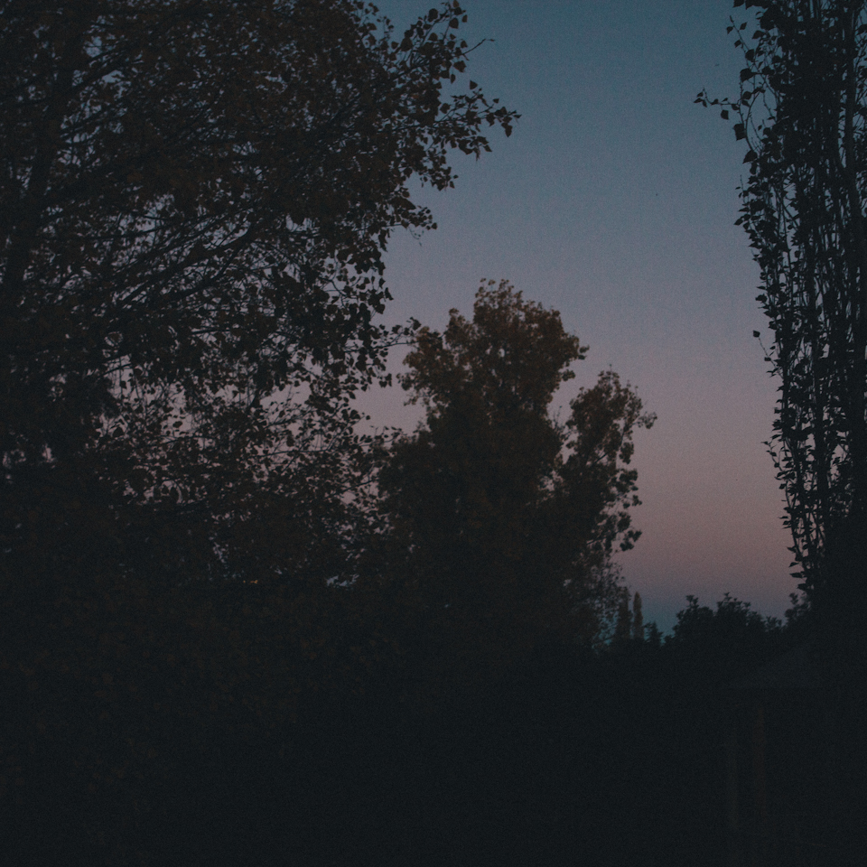 SuttonForest-7