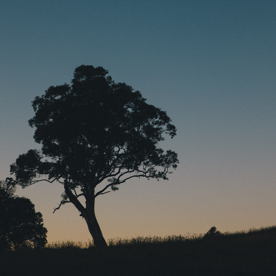 landscapeatdusk-6